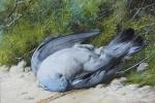 Study Of A Dead Pigeon - view 1