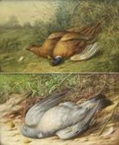 Still Life Studies Of Dead Pheasants And Pigeon by William Cruickshank