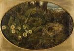 Still Life Of Primroses And Bird's Nest In A Woodland Setting