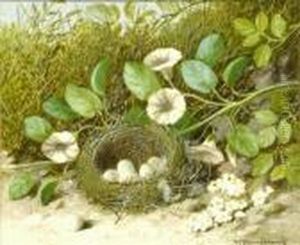 Still Life With Bird's Nest On A Mossy Bank by William Cruickshank