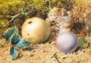An Apple And Plum On A Mossy Bank by William Cruickshank