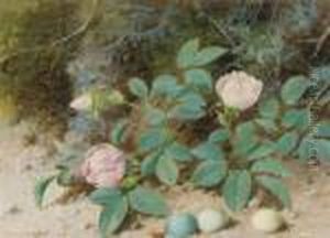 Pink Roses On A Mossy Bank by William Cruickshank