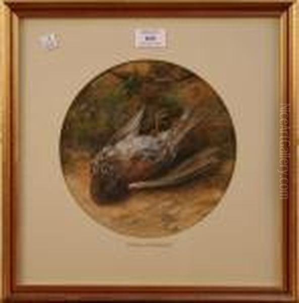 Tondo Study Of A Fallen Bird - view 1