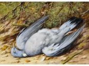 Still Life -a Dead Woodpigeon by William Cruickshank