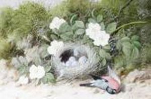 Still Life Of Dog Roses by William Cruickshank