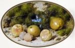 Still Life, Apples, Plums, Pear And Bird Nest by William Cruickshank