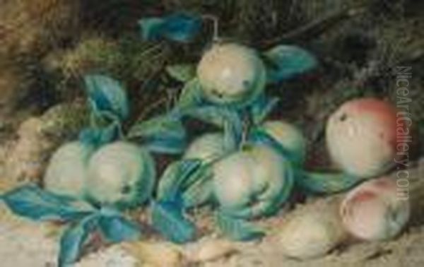 Still Life Of Apples And Hazelnuts - view 1