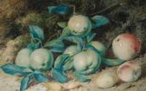 Still Life Of Apples And Hazelnuts