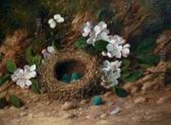 Still Life Of A Bird's Nest And Flowers On A Bank - view 1