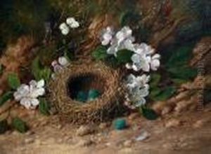 Still Life Of A Bird's Nest And Flowers On A Bank by William Cruickshank