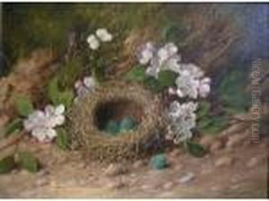 Birds Nestsurrounded By Apple Blossom by William Cruickshank