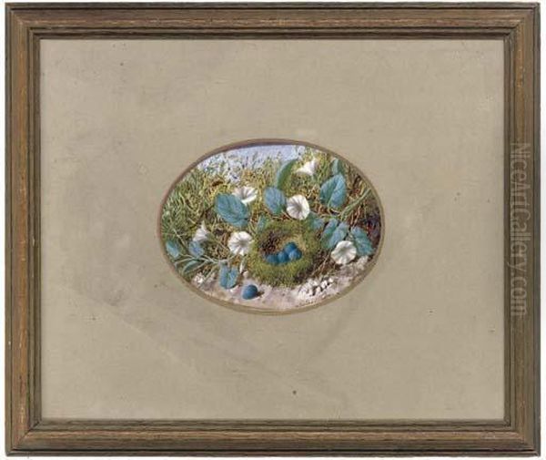 Convolvulus Beside A Birds Nest,
On A Mossy Bank; And A Birds Nest With Eggs, On A Mossy Bank - view 1