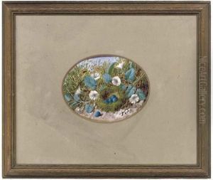Convolvulus Beside A Birds Nest,
 On A Mossy Bank; And A Birds Nest With Eggs, On A Mossy Bank