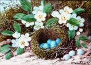 Still Life Of Birds Nest And 
Blossom On A Mossy Bank; Still Life Of A Pigeon, A Pair; And Another Of 
Partridge And Flask On A Table Top