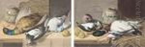 A Pheasant, Pigeon And A Woodcock On A Shelf; And A Mallard, Snipe And Pigeon On A Shelf
