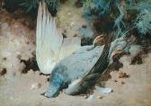 Still Lifes Of Dead Game by William Cruickshank