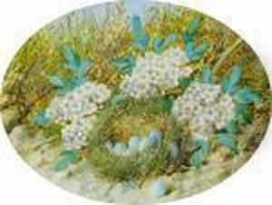 A Birds Nest With Flowers; Still Life Of Fruit