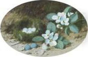 Apple Blossom And A Bird's Nest On A Mossy Bank by William Cruickshank