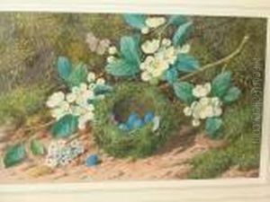 Still Life Of Birds' Nest And Blossom Branch On A Mossy Bank