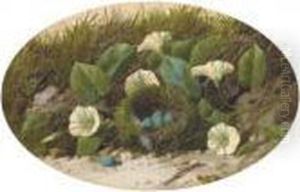 Convolvulus And A Bird's Nest On A Mossy Bank by William Cruickshank
