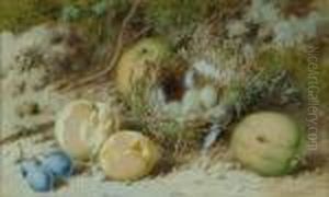 'bird's Nest With Eggs And Fruit Beneath A Mossy Bank' by William Cruickshank