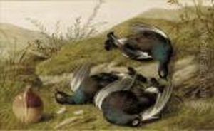 The Day's Bag, Hare, Peasant, Partridge And Pigeon; And The Day'sbag, Blackcock by William Cruickshank