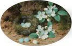 Bird's Nest And Flowers