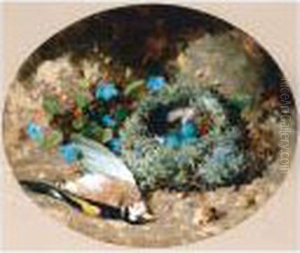 Goldfinch And Nest - view 1