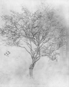 Study Of A Lemon Tree