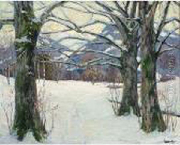 'beschneite Buchen' - view 1