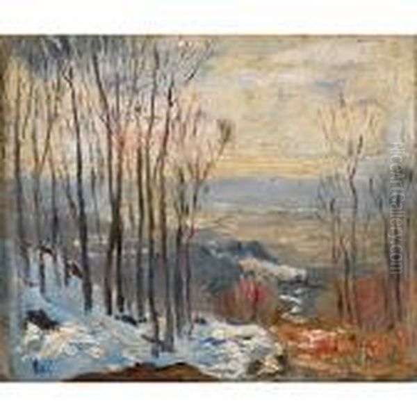 Winter Landscape - view 1