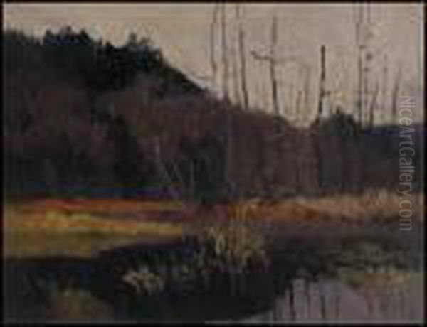 The Heron Pool, Cache River - view 1