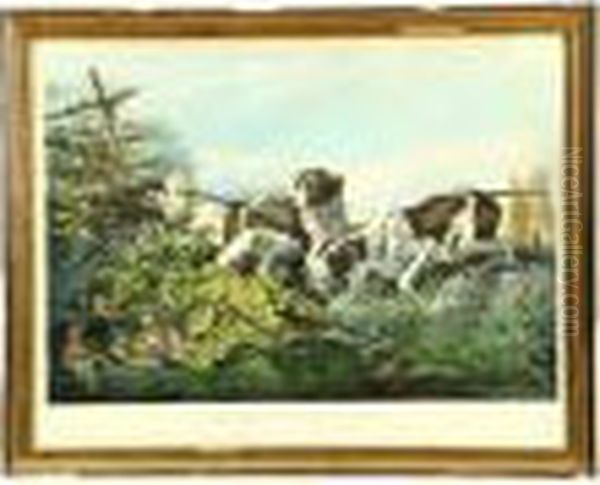 American Field Sports, On A Point - view 1