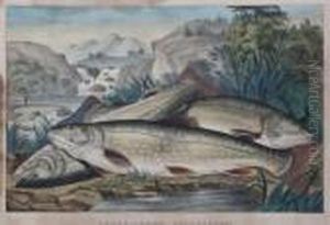 Brook Trout Just Caught by Currier & Ives Publishers