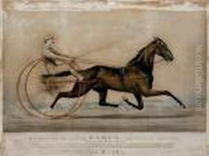 R.b. Conkling's Bay Gelding
Rarus. The "king Of Trotters": Driven By John Splan. Record: 2:13¼. R.b. Conkling's Bay Gelding
Rarus. The "king Of Trotters": Driven By John Splan. Record: 2:13¼.