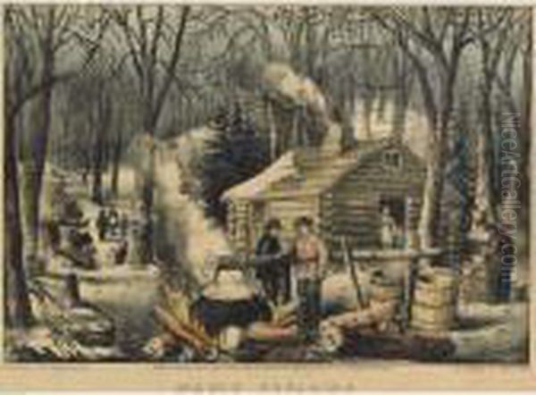 Maple Sugaring: Early Spring In The Northern Woods - view 1