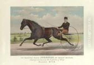 Champion Pacer Johnston