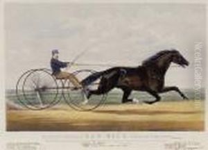 Trotting Stallion Dan Rice
