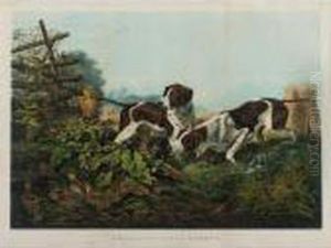 American Field Sports: by Currier & Ives Publishers