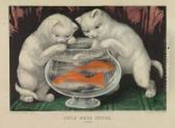 My Little White Kittie. After The Goldfish * Little White Kitties. Fishing. - view 1