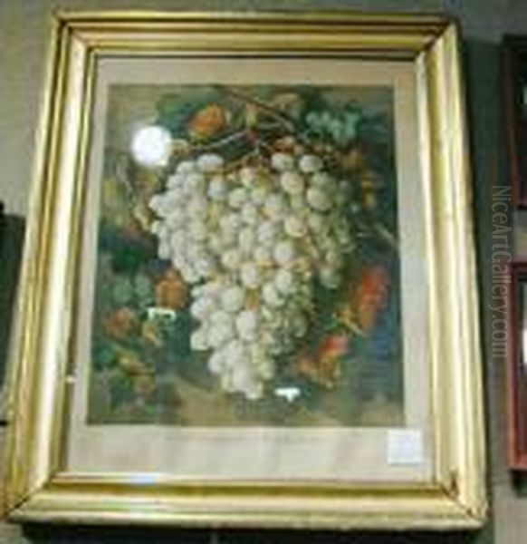First Premium Grapes - view 1