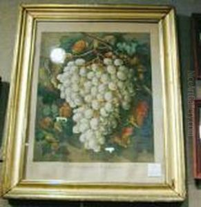 First Premium Grapes