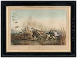 Wild Duck Shooting by Currier