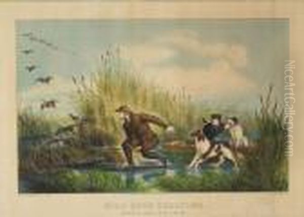 Wild Duck Shooting. - view 1