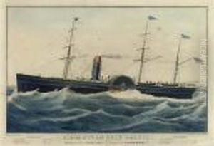 U.s.m. Steam Ship Baltic