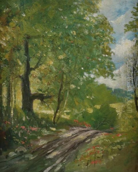 Country Lane In Spring - view 1