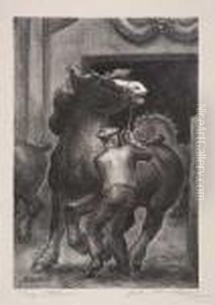 Prize Stallions - view 1
