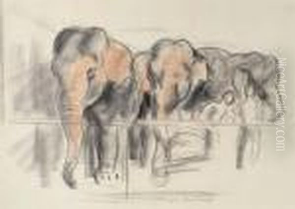 Circus Elephants - view 1