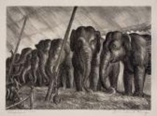 Elephants - view 1