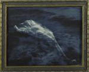 Floating Aphrodite by Edward Sherrif Curtis